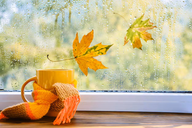 Sabahın hava proqnozu