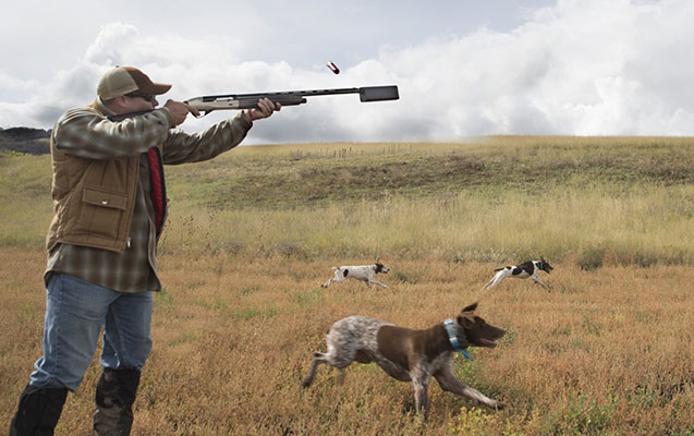 Azərbaycanda ov mövsümü başlayıb