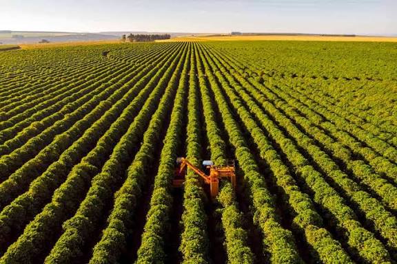 Aqrar sektor cüzi böyüyüb