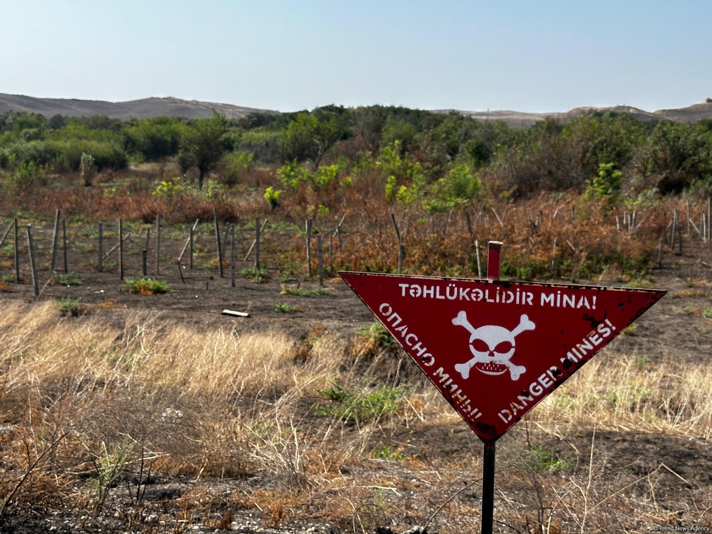 Ötən həftə 1587 hektardan çox ərazi minalardan təmizlənib