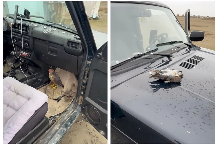 Türkiyə vətəndaşı Şabranda ov qaydalarını pozduğuna görə cərimələnib