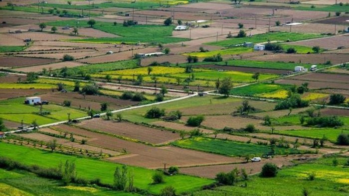 Kənd təsərrüfatı təyinatlı torpaqlarda bu tikililərin inşası qadağandır