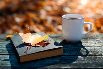 Sabahın hava proqnozu