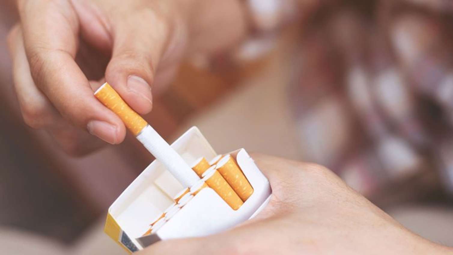 Siqaretlərin qiyməti bahalaşdı