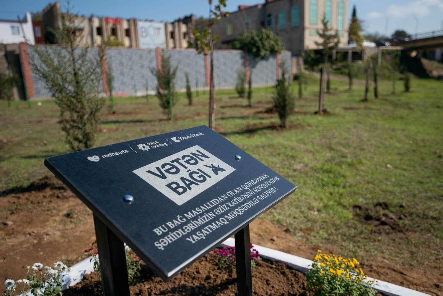 Daha 6 rayonda “Vətən Bağı” yaradıldı