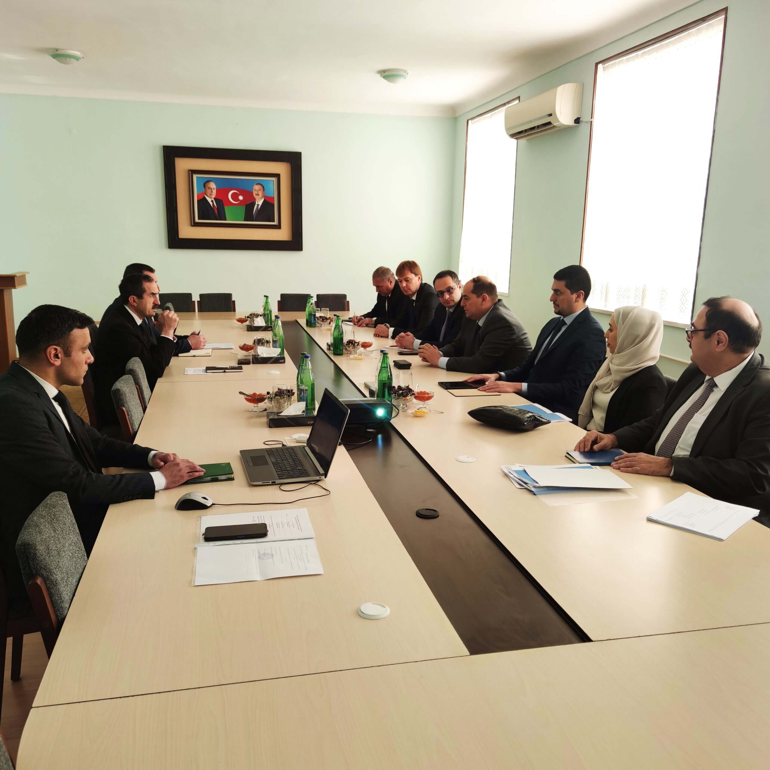 Xarici şirkətlər Naxçıvanda “yaşıl enerji” layihələrini reallaşdıra bilər