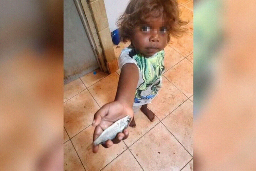 Avstraliyada balıq yağışı – FOTO