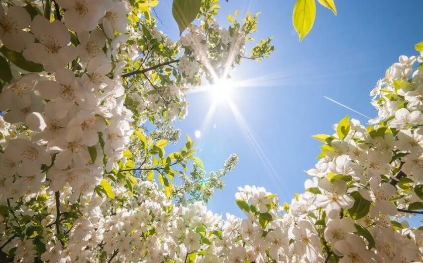 Sabah Bakıda hava necə olacaq?