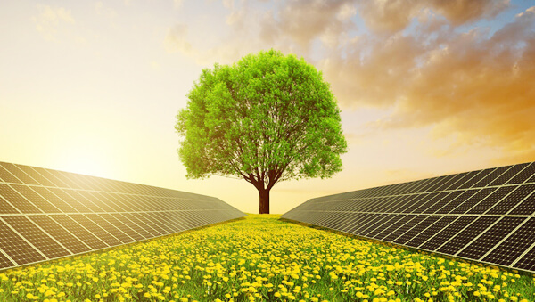 Gələn ildən "yaşıl subsidiya"lar tətbiq olunacaq