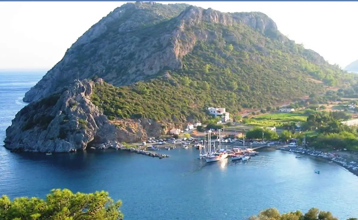 Azərbaycanlılar Türkiyədə nə qədər mənzil alıb? – RƏSMİ