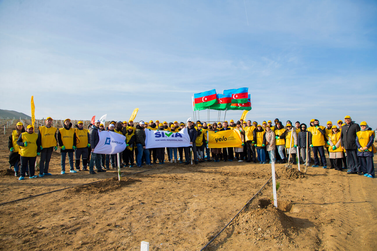 “Yelo Bank” dedi və etdi: hər müştəri üçün bir ağac!