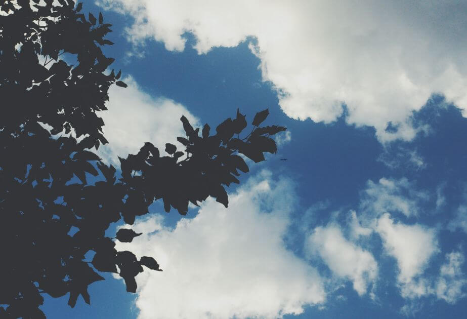 Bazar gününə olan hava PROQNOZu