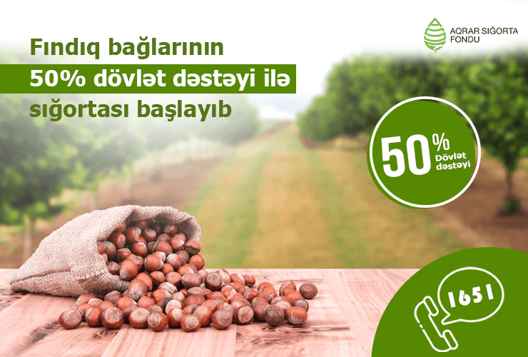 Fındıq bağlarının dövlət dəstəyi ilə sığortasına başlanılıb