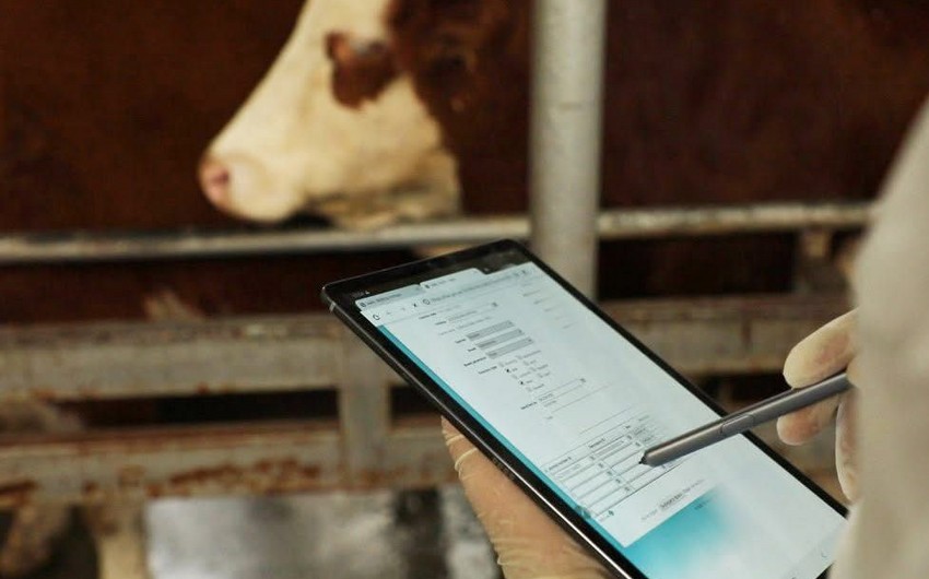 Qarabağ, Şərqi Zəngəzur və Naxçıvan dabaq xəstəliyindən azad status əldə edəcək