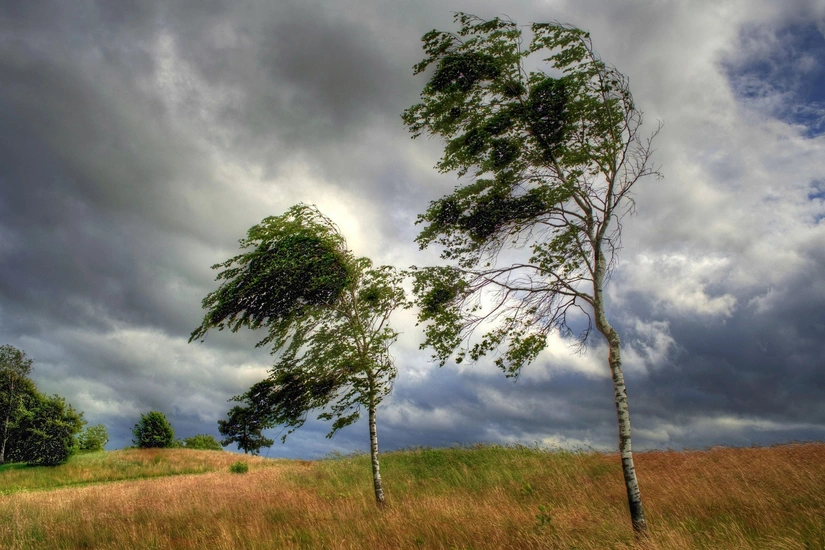 Bazar gününə olan hava PROQNOZU