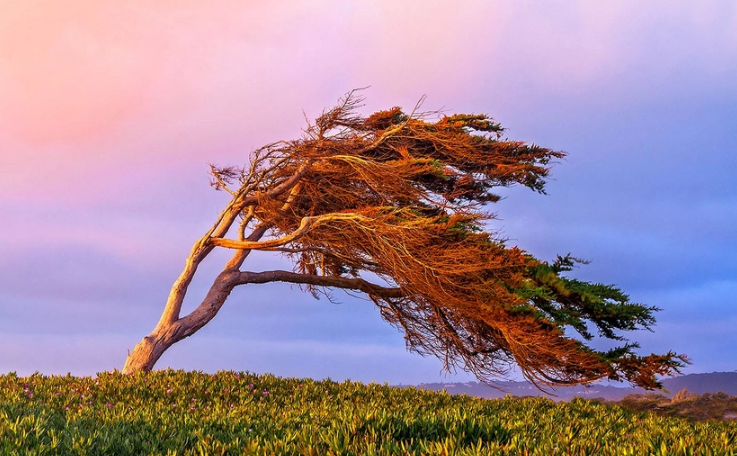 Küləkli hava şəraiti ilə bağlı sarı xəbərdarlıq verilib