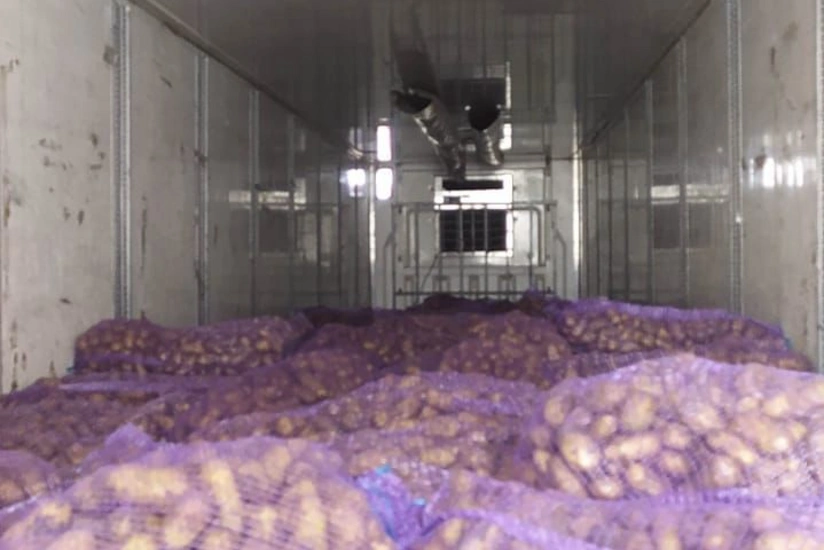 Gürcüstandan Azərbaycana gətirilən kartofda parazitlər aşkarlanıb