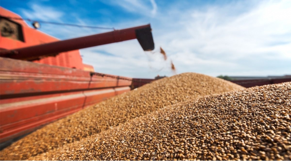 Qazaxıstan taxılının Azərbaycan üzərindən Ermənistana daşınmasına başlanılıb