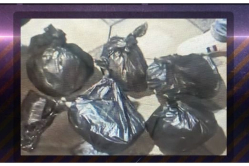 Əməliyyat keçirib, 6 nəfər saxlanılıb, 21 kq marixuana aşkarlanıb