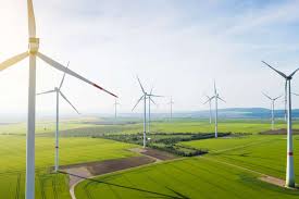 “Yaşıl Dəhliz Birliyi”nin yeni Baş direktoru təyin edilib, nizamnamə kapitalı artırılıb