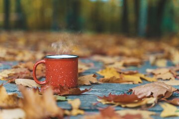 Şənbə günü hava necə olacaq?