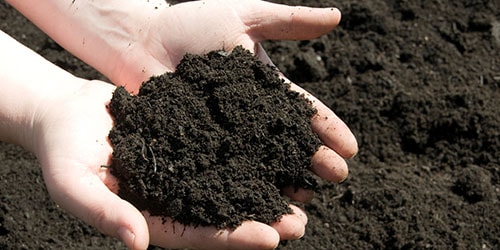 Növbəti torpaq hərracları elan edilib