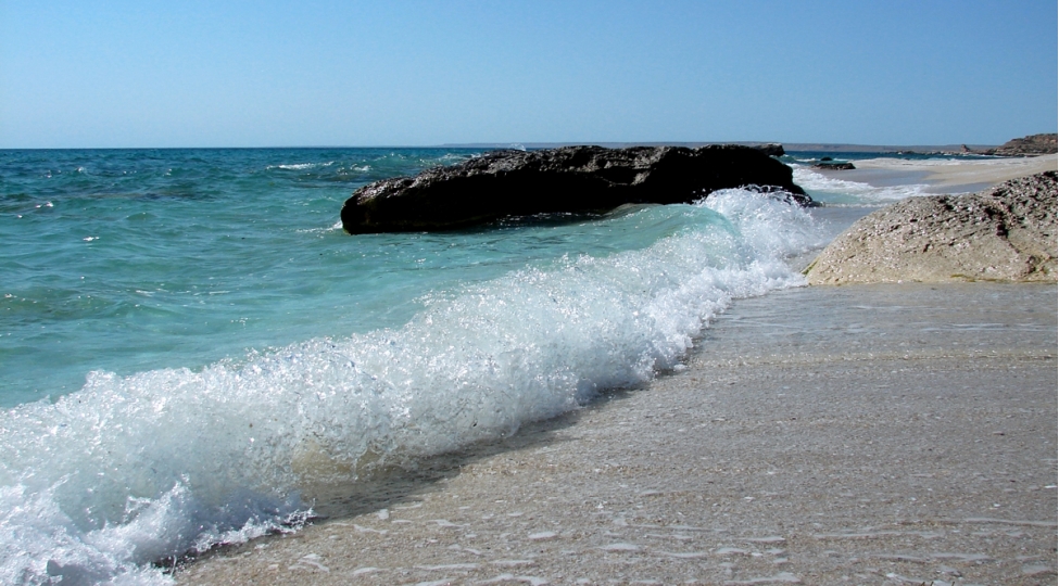 Babək Hüseynov: "Xəzərdəki yataqların məhsuldarlığını saxlamaq üçün yeni texnologiyaya ehtiyac var"