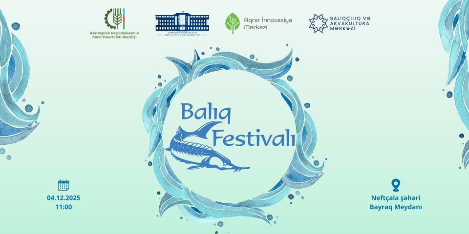 Neftçalada Balıq Festivalı keçiriləcək