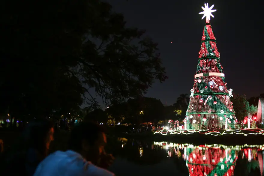 Braziliyada 80 metr hündürlüyündə yolka qurulub