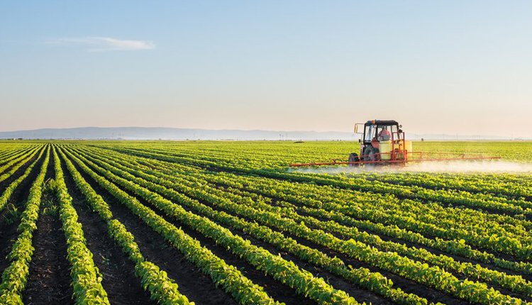 Azərbaycanda 13 milyard manat dəyərində kənd təsərrüfatı məhsulları istehsal edilib