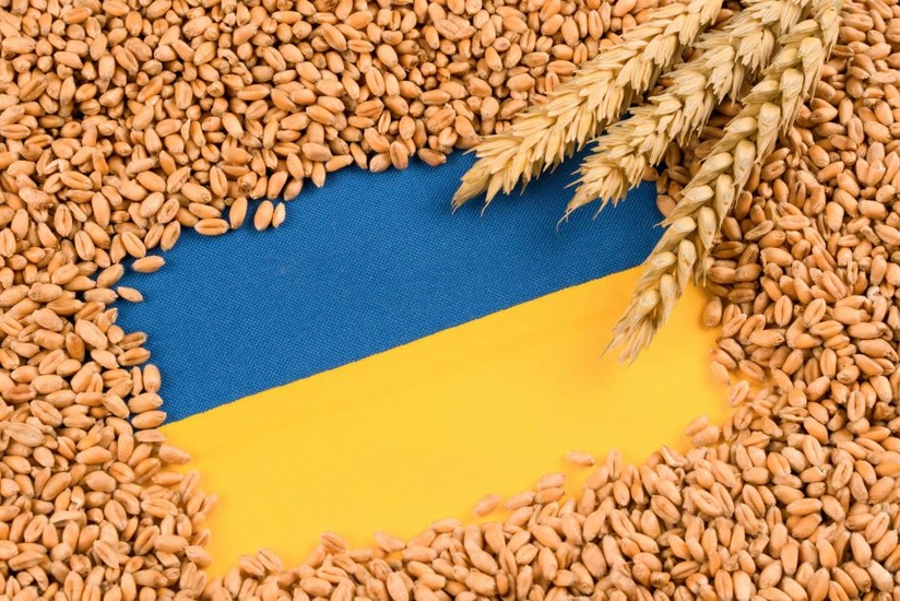 Moldova Ukraynadan taxıl idxalına qoyulan məhdudiyyəti aradan qaldıracaq