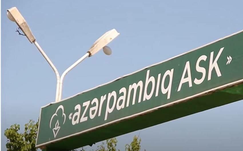 "Azərpambığ"ın ixrac gəlirləri 30%-dən çox azalıb