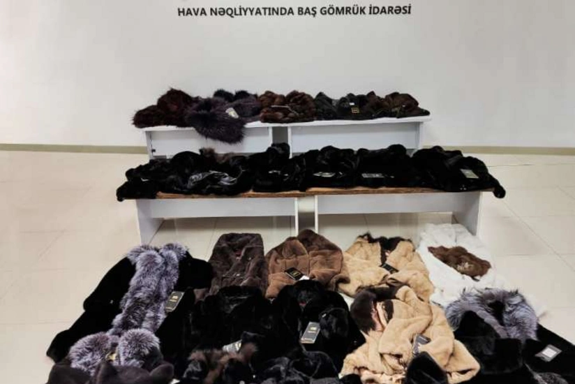 27 ədəd xəz dəri məmulatını ölkəyə gətirmək istədi, saxlanıldı