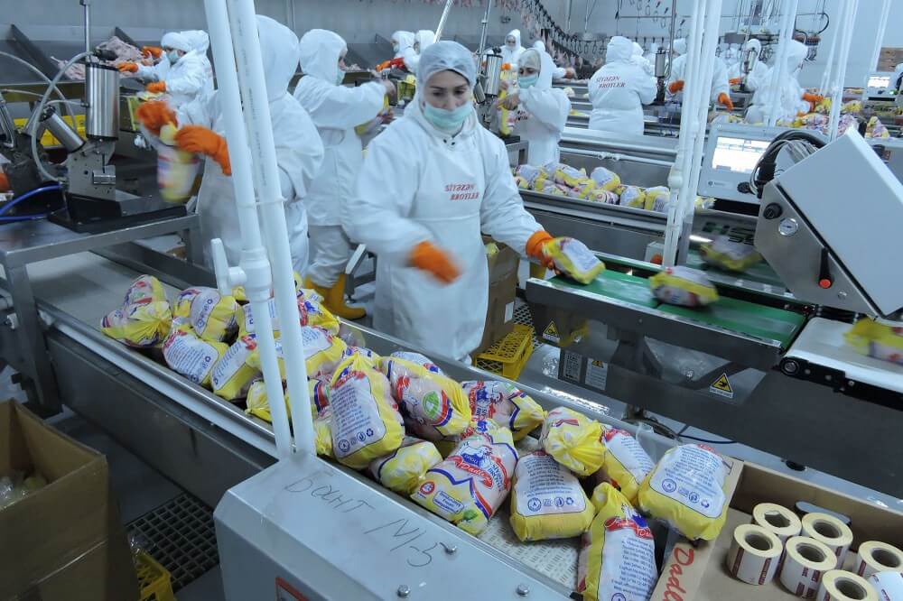 “Siyəzən Broyler”: Xaricdən idxal edilən toyuqlar yerli məhsul adı altında satışa çıxarılır