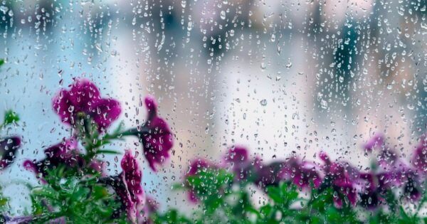 Gələn həftənin 4 günü hava şəraiti qeyri-sabit keçəcək