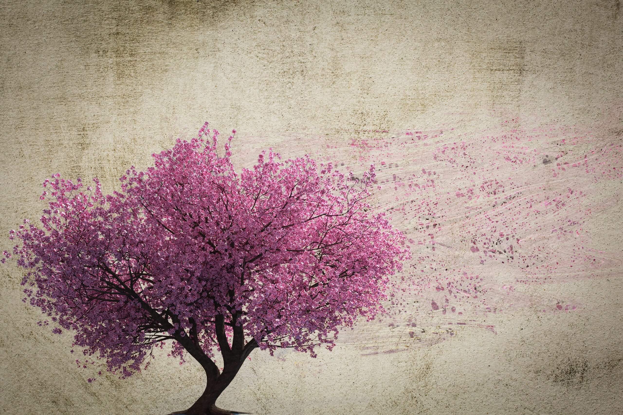 Sabahın hava proqnozu