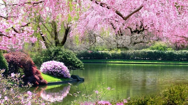 Sabahın hava proqnozu