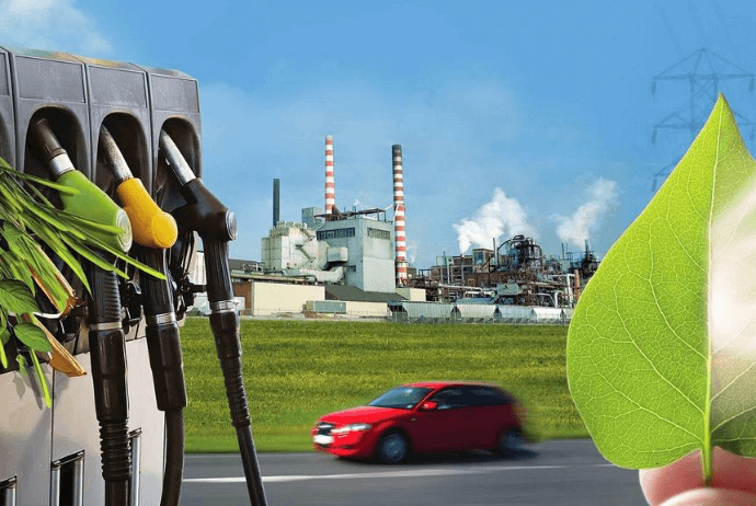 Azərbaycanın bioyanacaq istehsalı 50% artıb