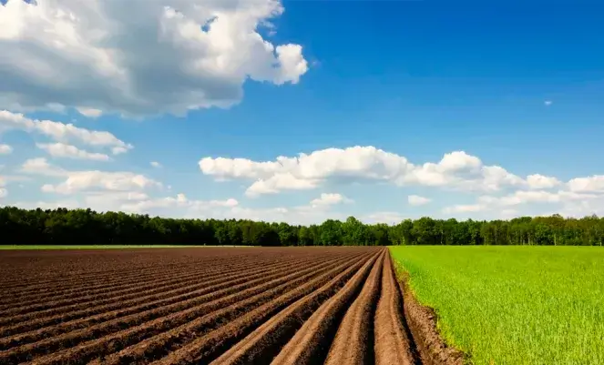 Peyk, yoxsa dronla çəkmək? – Ortofoto xəritələrin fərqi