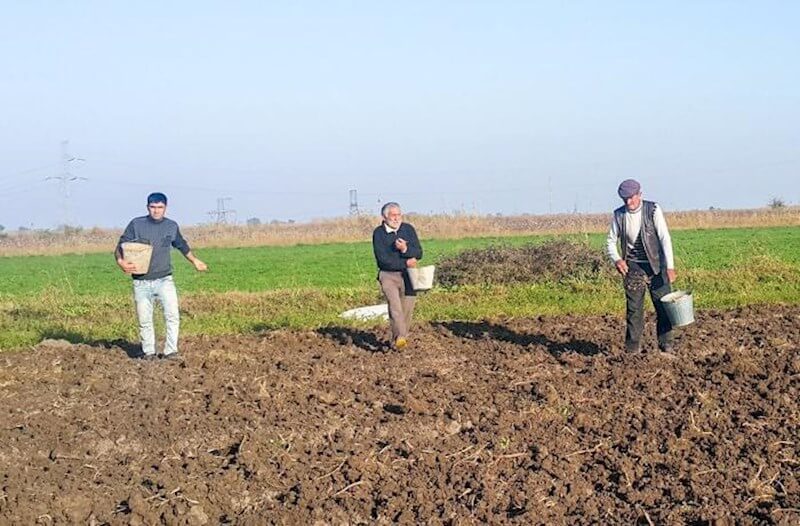 Kəndlilər niyə subsidiya ala bilmirlər?