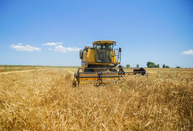 “Azərbaycan Rusiya taxılının əsas idxalçısı olaraq qalır”