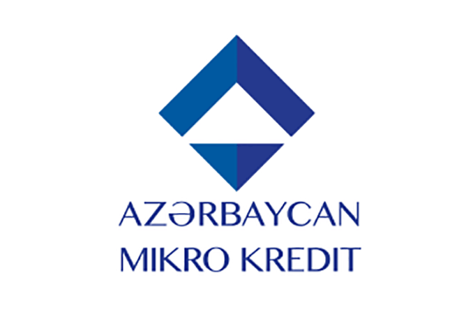 "Azərbaycan Mikro-Kredit" BOKT zərərdən çıxa bilmir