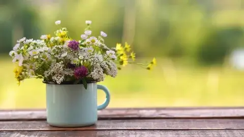 Şənbə günü hava necə olacaq?