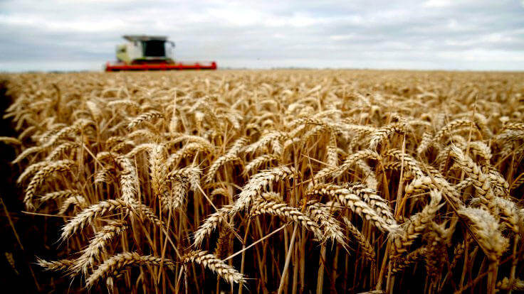 Putin: “Rusiya Ukrayna taxılının daşınmasına mane olmur”