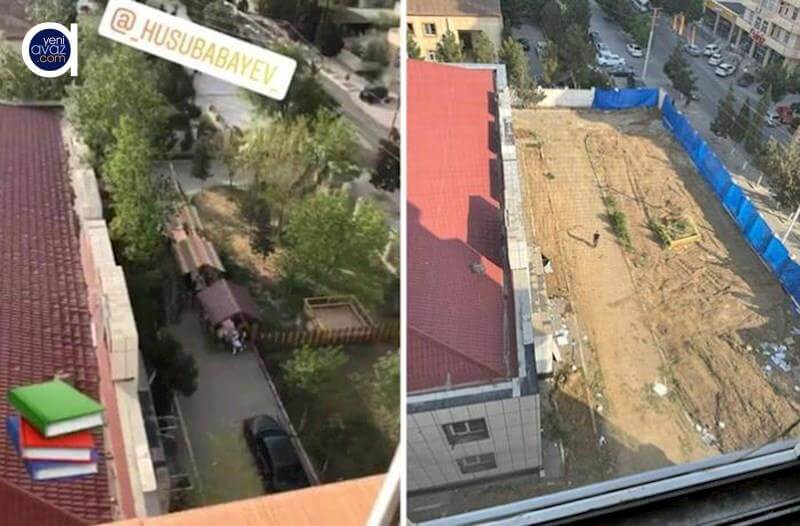 Bir gecədə məhv edilən yaşıllıqla bağlı rəsmi - AÇIQLAMA