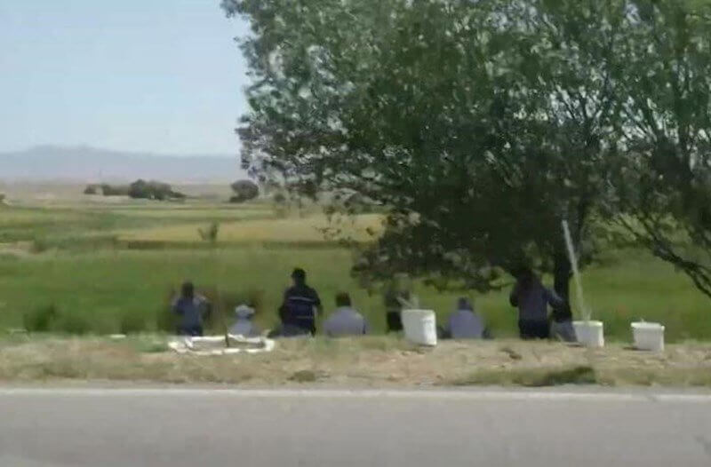 Naxçıvanda dövlət işçiləri məcburi iməciliyə cəlb olunurlar - İDDİA