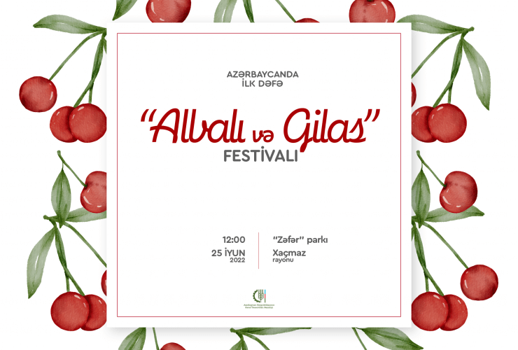 Azərbaycanda “Albalı və gilas” festivalı keçirilir - İlk dəfə