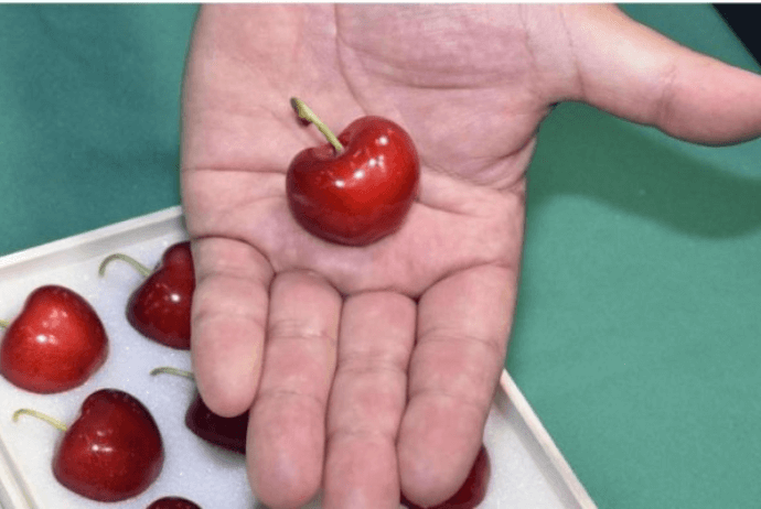 Yaponiyada 1 ədəd albalı 296 dollara satılıb