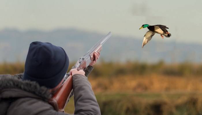 "Rəisin qohumuna qanunsuz ova görə cərimə yazdıq, məni işdən çıxardılar"