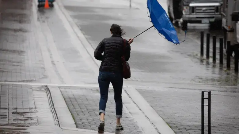 Sabahın hava proqnozu